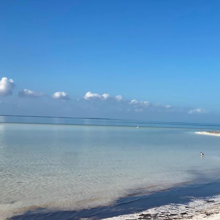 Barco Verde Hostel Isla Holbox Ngoại thất bức ảnh