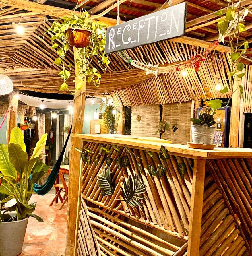 Barco Verde Hostel Isla Holbox Ngoại thất bức ảnh