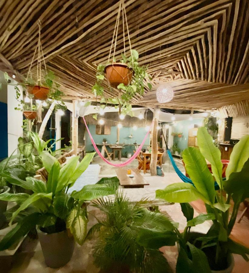 Barco Verde Hostel Isla Holbox Ngoại thất bức ảnh