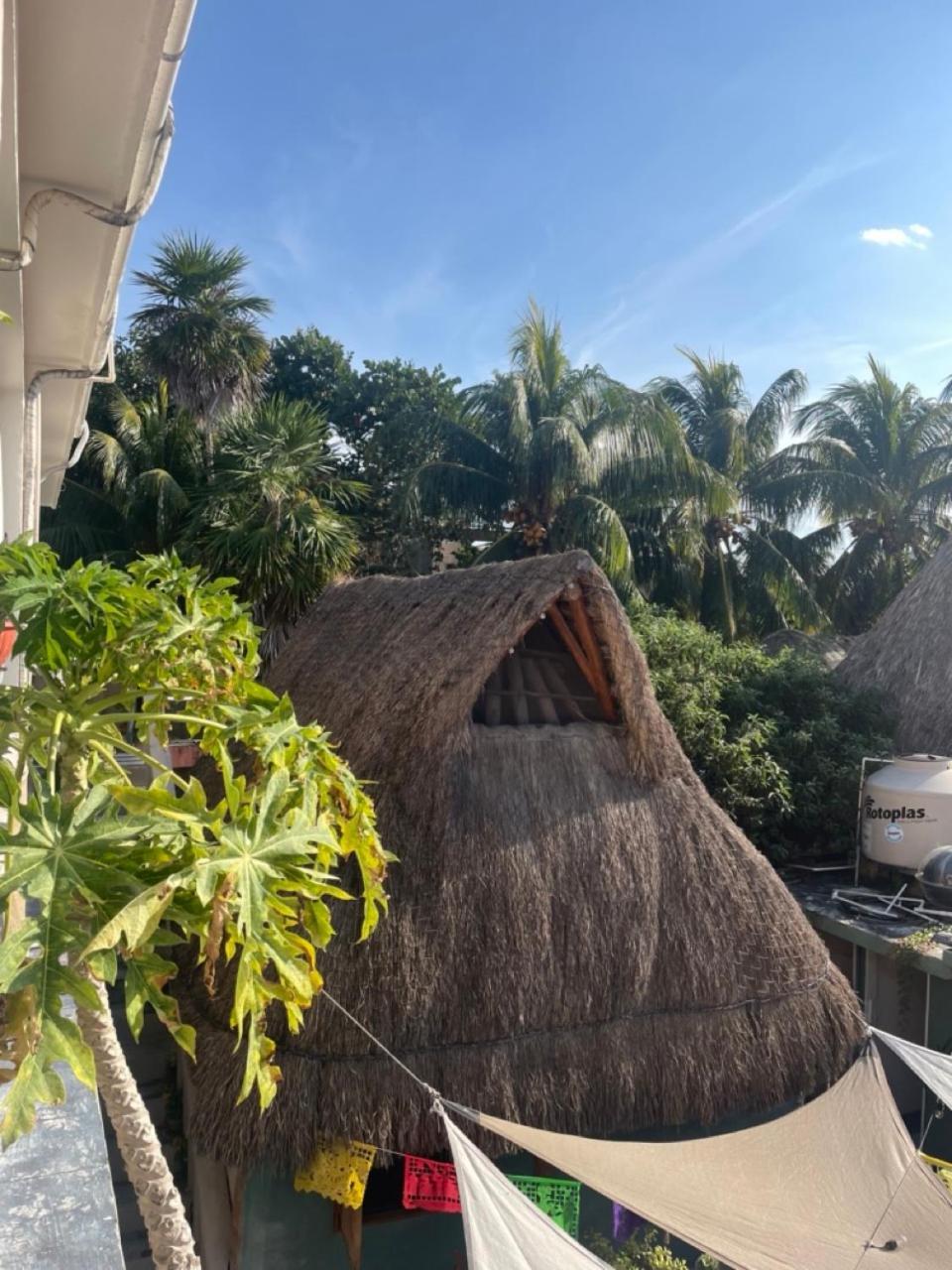 Barco Verde Hostel Isla Holbox Ngoại thất bức ảnh