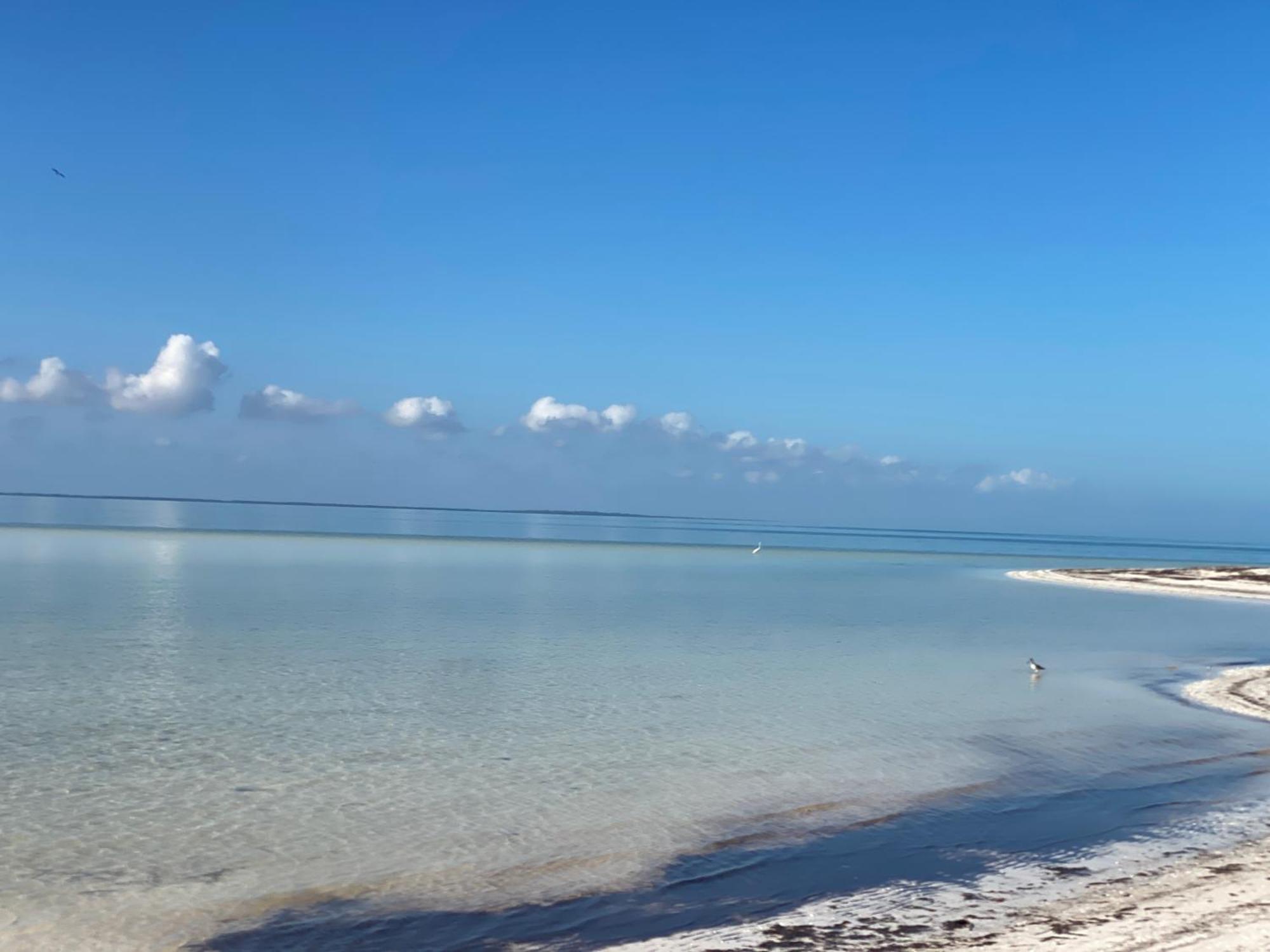 Barco Verde Hostel Isla Holbox Ngoại thất bức ảnh