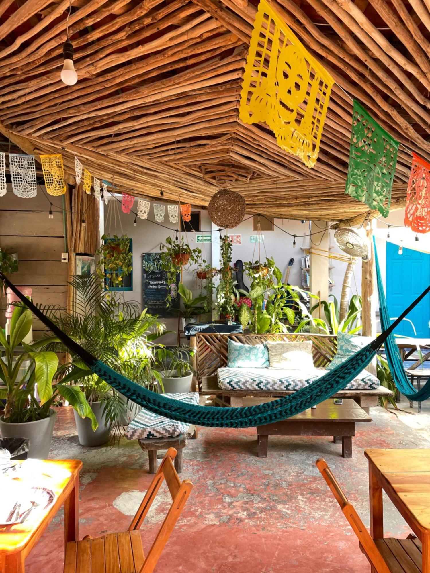 Barco Verde Hostel Isla Holbox Ngoại thất bức ảnh
